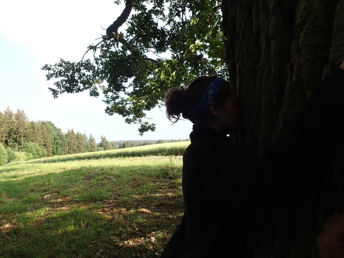 Tipi im Wald